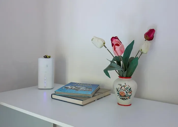 Vicino L'ospedale Con Parcheggio Gratuito *